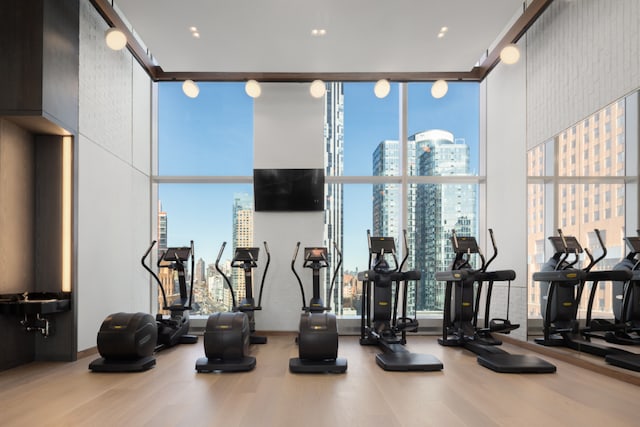 exercise room with floor to ceiling windows and wood-type flooring