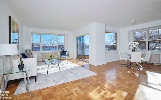 living room featuring parquet floors