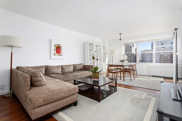 living room with hardwood / wood-style flooring