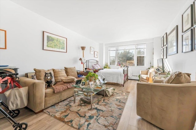 living room featuring light hardwood / wood-style floors