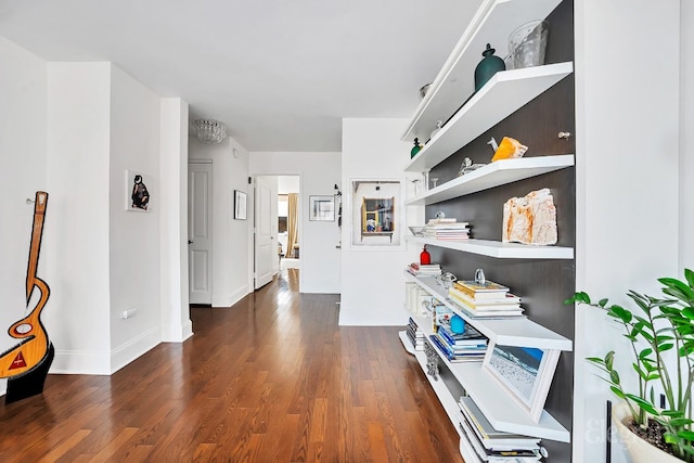 office space with dark hardwood / wood-style floors