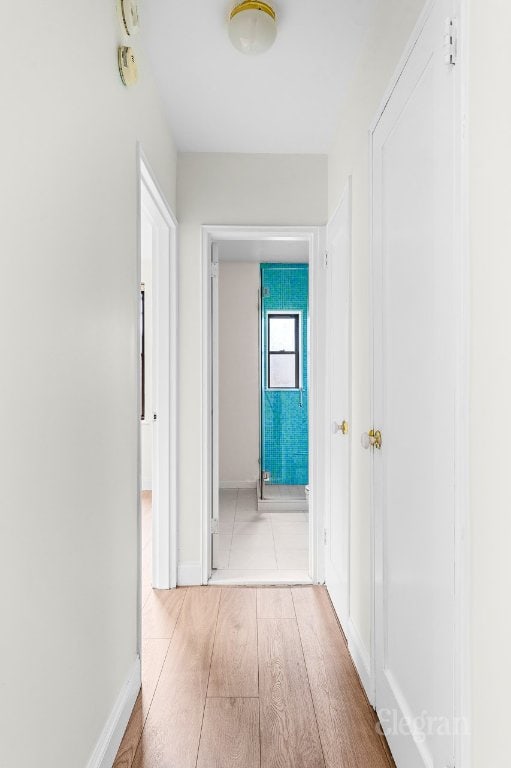 hallway featuring light hardwood / wood-style flooring