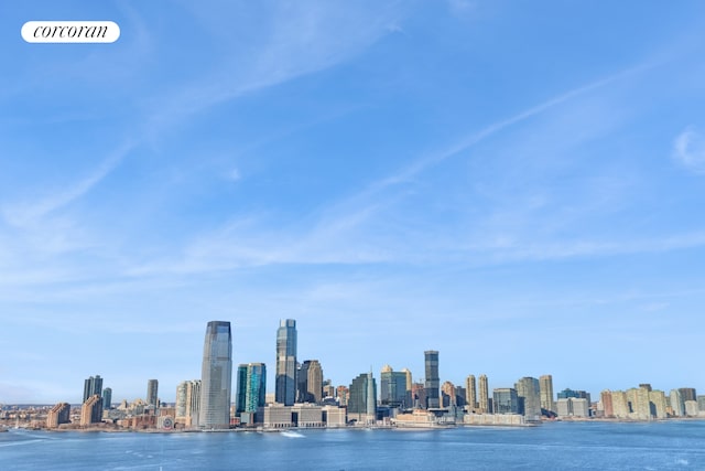 water view with a city view