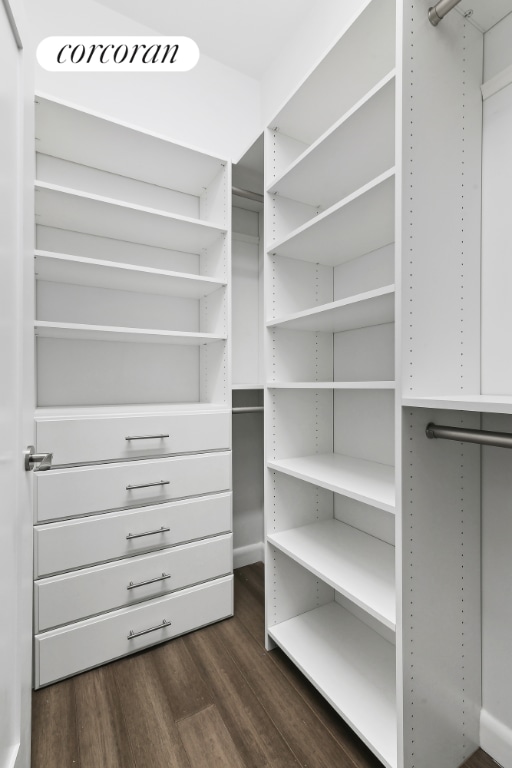 walk in closet featuring dark wood-type flooring