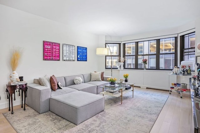 living room featuring hardwood / wood-style flooring