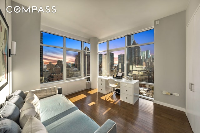 office area featuring a view of skyline, wood finished floors, and baseboards