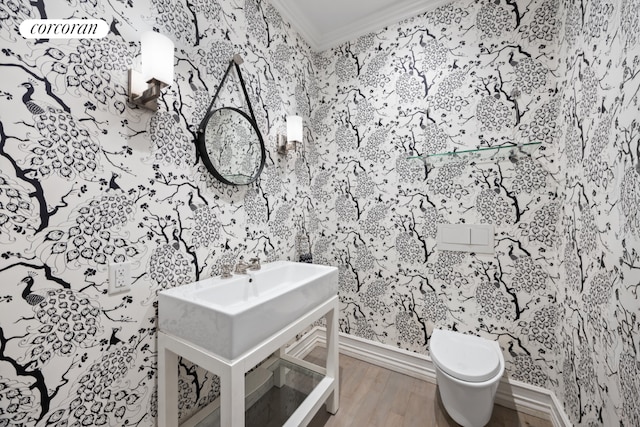 bathroom featuring toilet, ornamental molding, hardwood / wood-style floors, and vanity