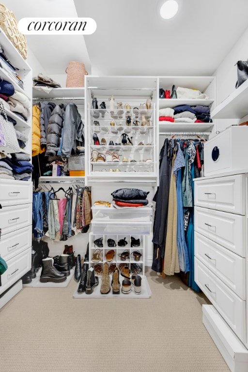 view of spacious closet