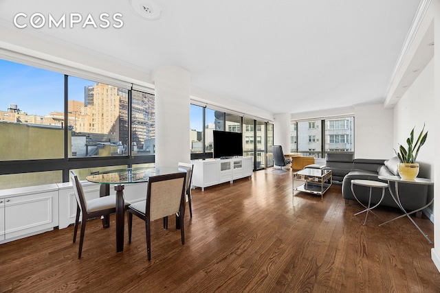 dining space featuring wood finished floors and a city view