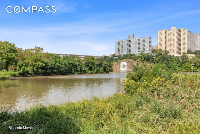 property view of water featuring a city view