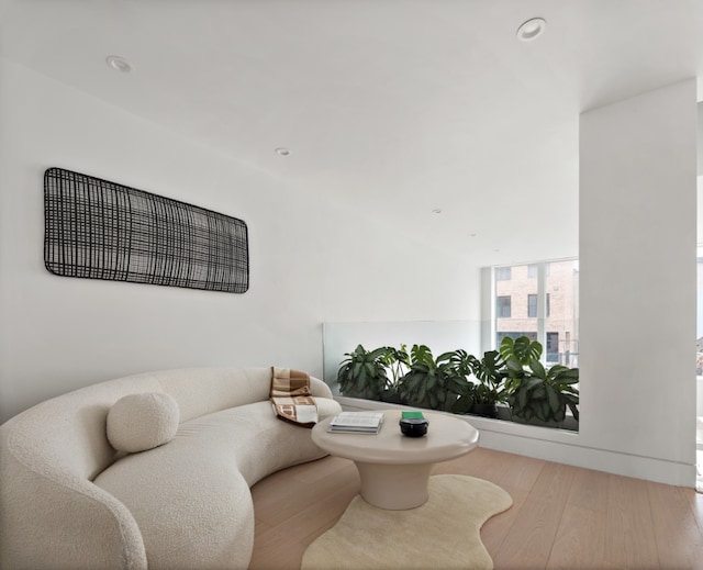 living room featuring hardwood / wood-style floors