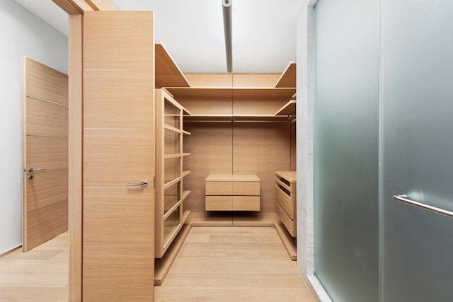 walk in closet featuring light hardwood / wood-style floors