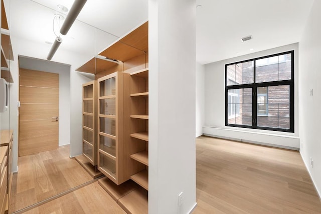 walk in closet with light hardwood / wood-style flooring