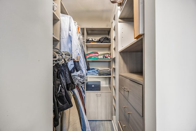 view of walk in closet