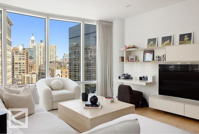 living area with light hardwood / wood-style floors, a wealth of natural light, and floor to ceiling windows