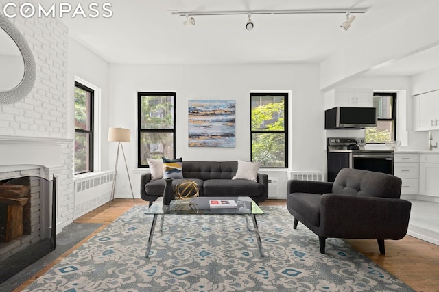 living room featuring a healthy amount of sunlight, a fireplace, light hardwood / wood-style floors, and radiator heating unit