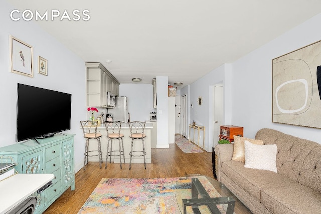 living room with hardwood / wood-style floors