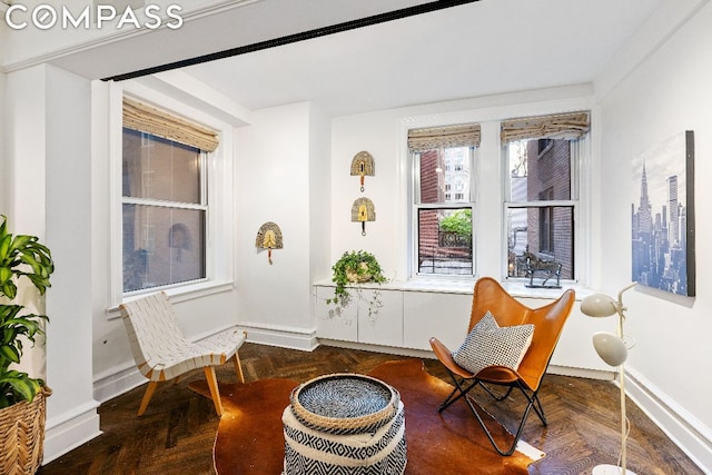 living area featuring a healthy amount of sunlight and dark parquet floors