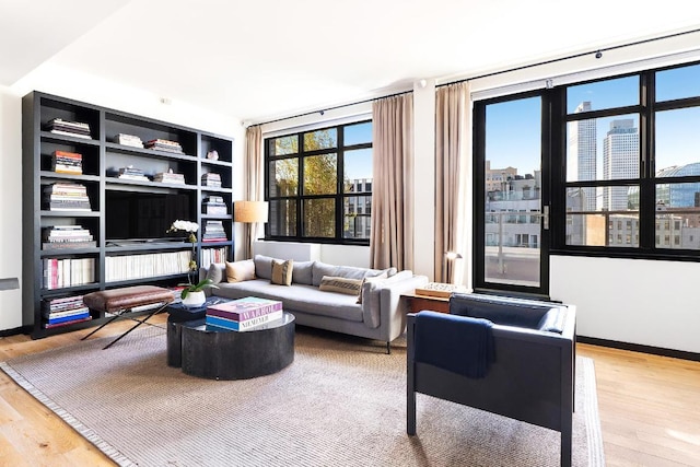 living room featuring hardwood / wood-style floors and a wealth of natural light