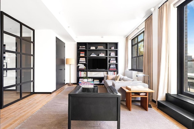 living room featuring wood-type flooring