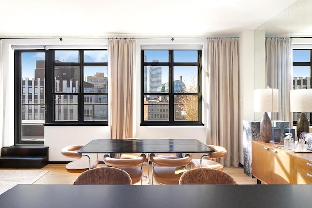 dining room with a wealth of natural light and light hardwood / wood-style floors