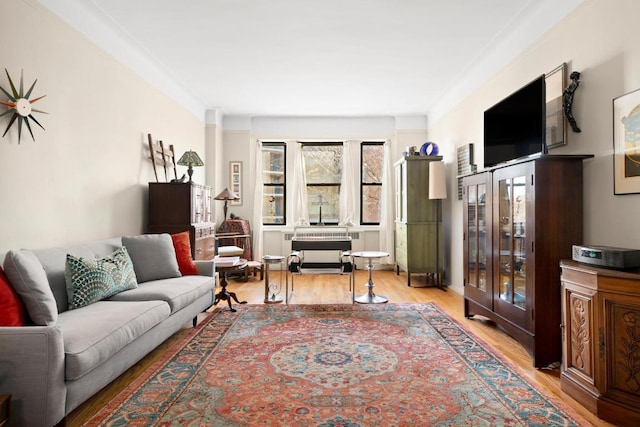 living room with light hardwood / wood-style floors and ornamental molding