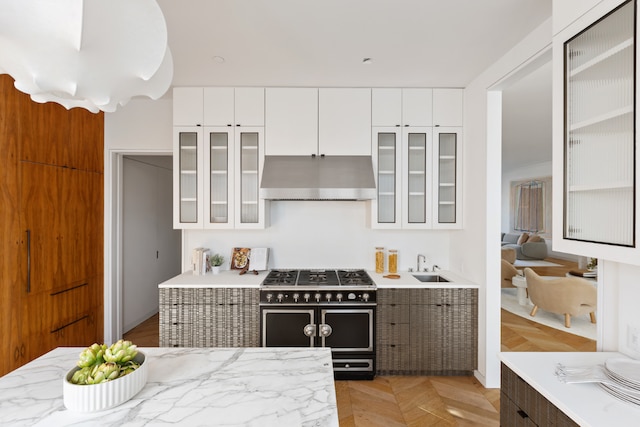 kitchen with double oven range, ventilation hood, light parquet flooring, white cabinets, and sink