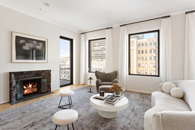 living room featuring a premium fireplace and ornamental molding