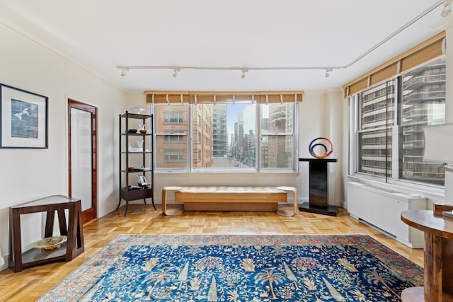 living area with parquet floors, track lighting, and ornamental molding