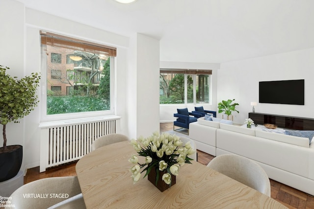 living room featuring radiator heating unit