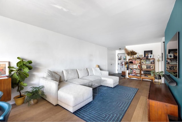 living room featuring wood-type flooring