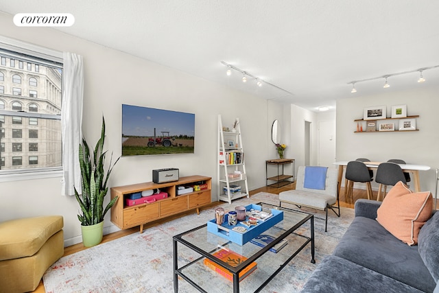 living room with hardwood / wood-style flooring