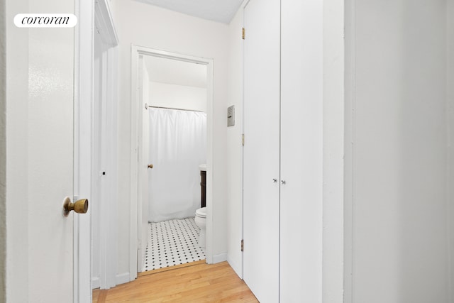 hallway featuring light hardwood / wood-style floors