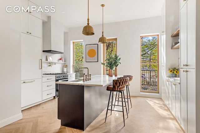 kitchen with open shelves, high quality appliances, a sink, and custom range hood