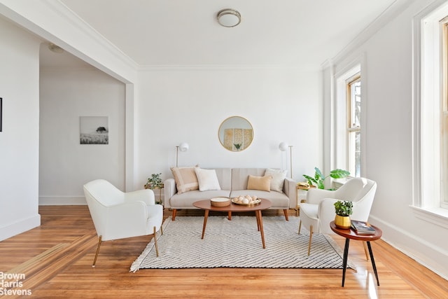 living room with wood-type flooring and crown molding