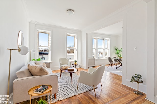 living area with crown molding and light hardwood / wood-style flooring