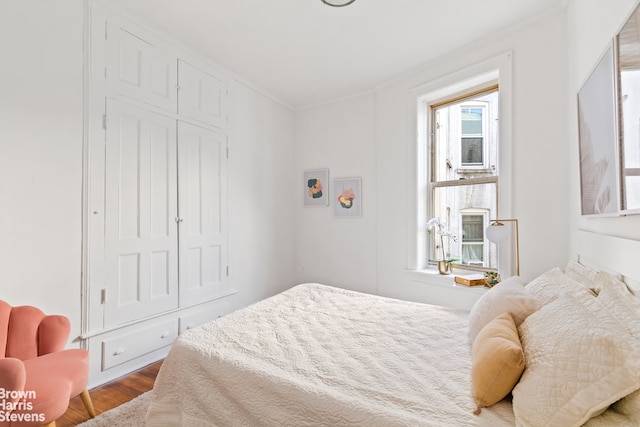 bedroom featuring wood-type flooring and a closet