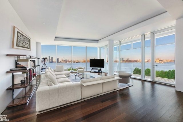 living room featuring dark hardwood / wood-style flooring and a tray ceiling