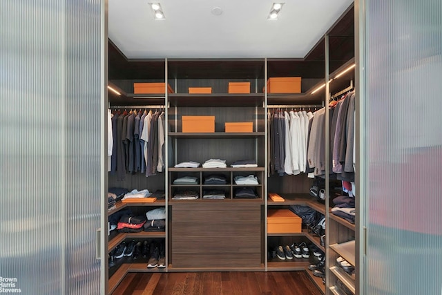 walk in closet featuring dark hardwood / wood-style floors