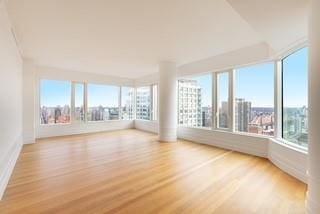 spare room featuring light wood-type flooring and a wealth of natural light