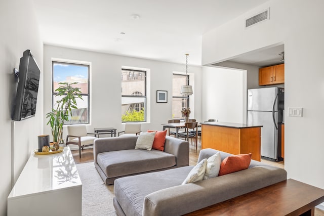 living room featuring light hardwood / wood-style floors