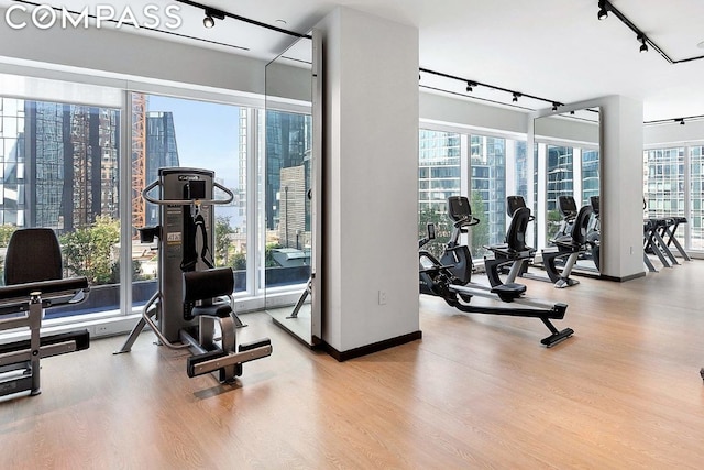 workout area featuring a wealth of natural light and light wood-type flooring