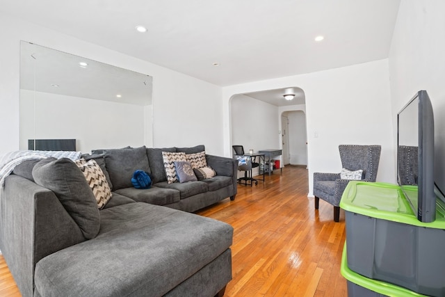 living room featuring wood-type flooring