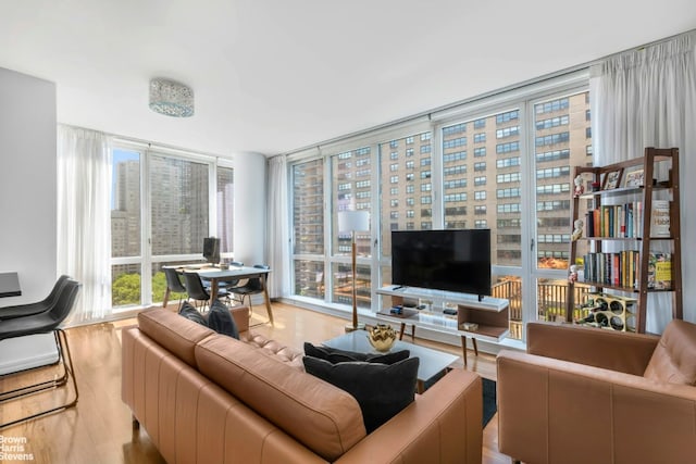 living room with light hardwood / wood-style floors, plenty of natural light, and floor to ceiling windows