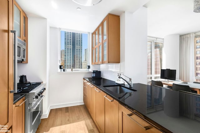 kitchen with light wood-type flooring, sink, and stainless steel appliances