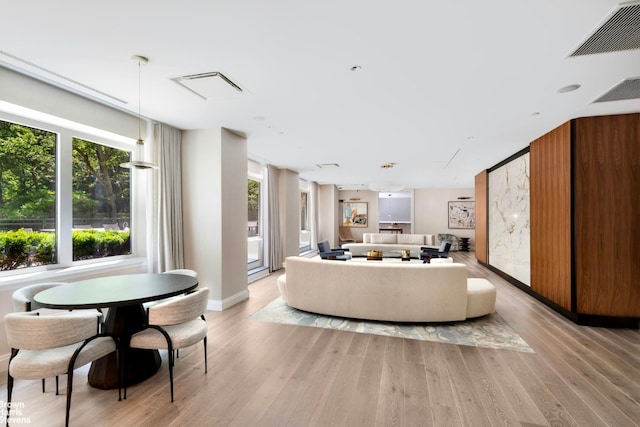 living room featuring light hardwood / wood-style flooring