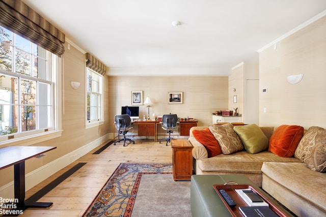 home office with crown molding and light hardwood / wood-style floors