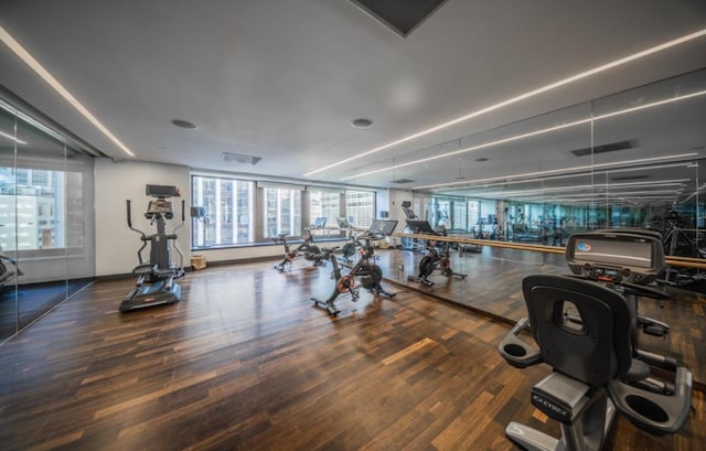 workout area with dark hardwood / wood-style flooring