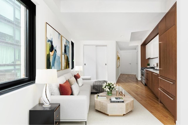 living room with light wood-type flooring and a healthy amount of sunlight