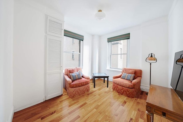 living area with light wood-type flooring